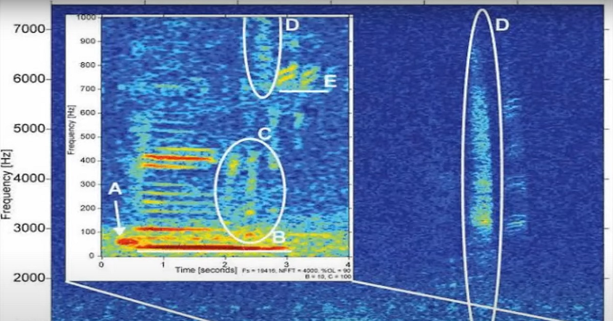 Otkriveno odakle dolaze misteriozni zvukovi iz Marjanove brazde (VIDEO)