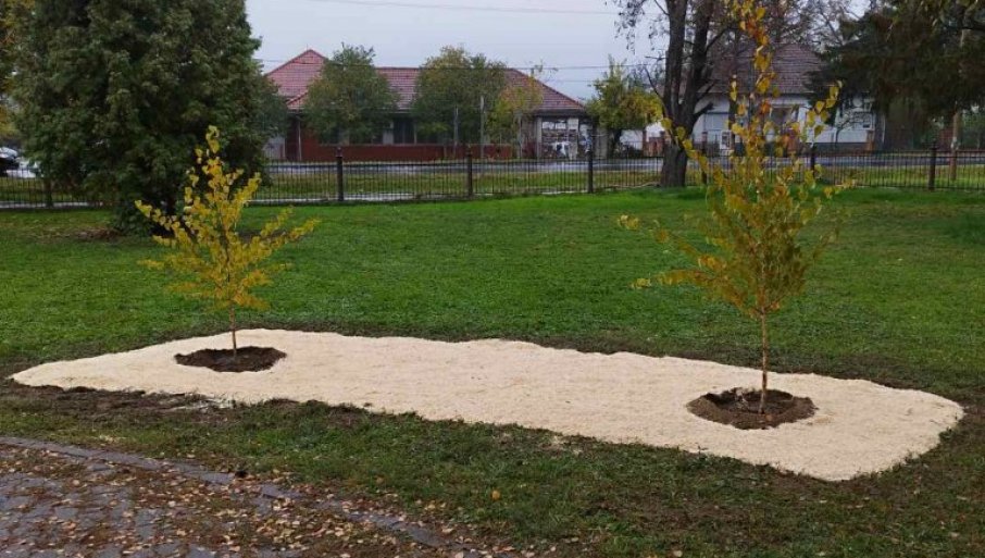 DVE BREZE USPOMENA NA MILICU I ANITU:Đaci i nastavnici Poljoprivredne škole u Futogu simbolično ostavili trag u sećanju