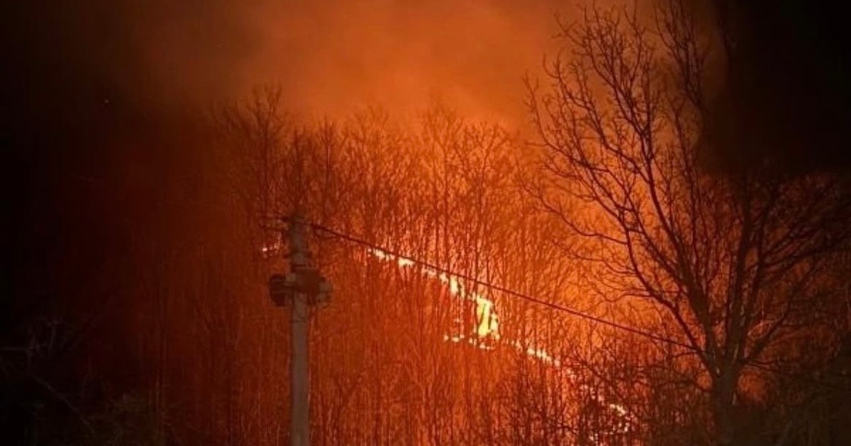 VELIKI POŽAR KOD KUČEVA Gori nisko rastinje pored puta (FOTO)